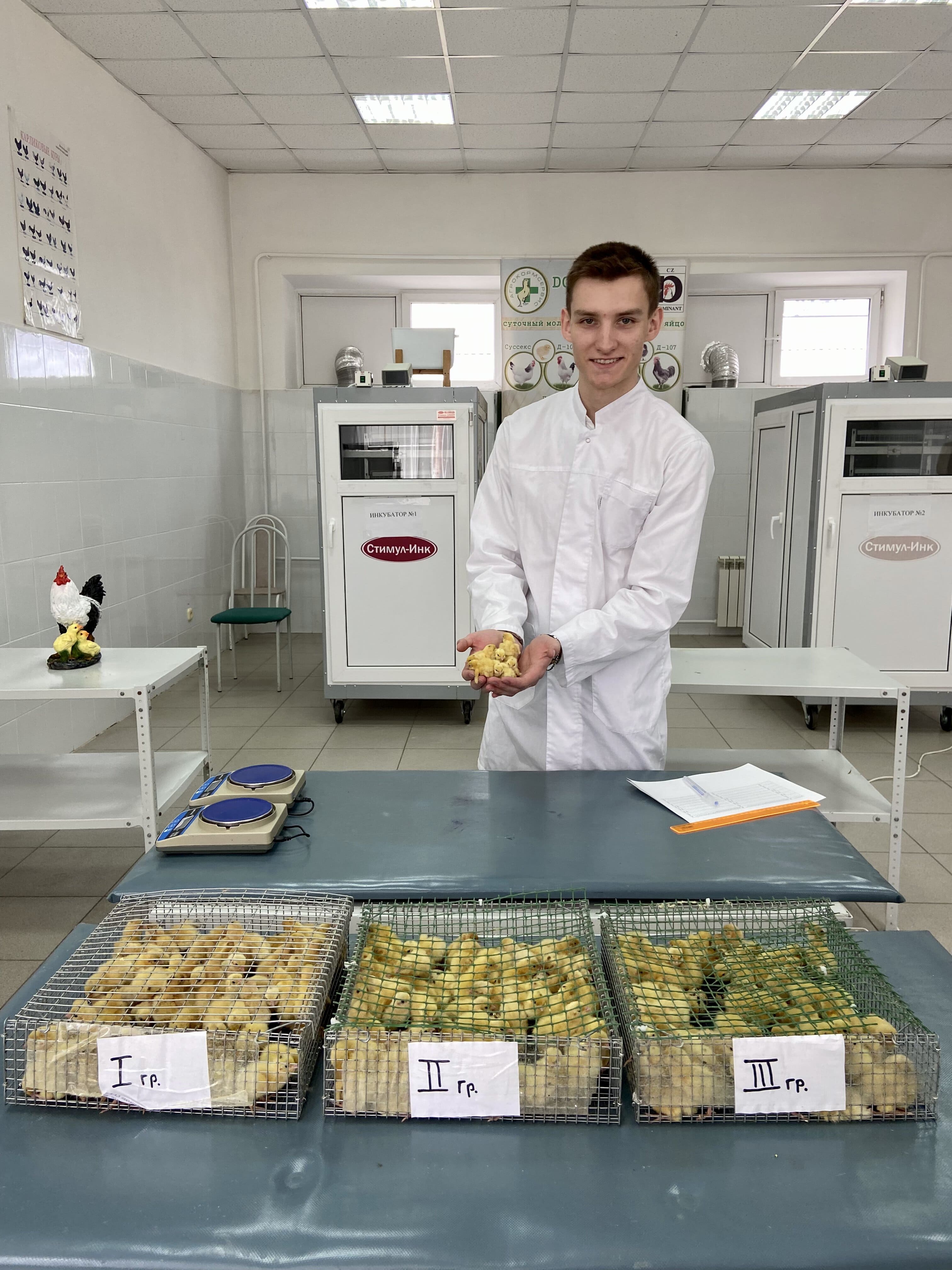 Ученые Ставропольского ГАУ смогли оптимизировать процесс инкубации перепелиных яиц