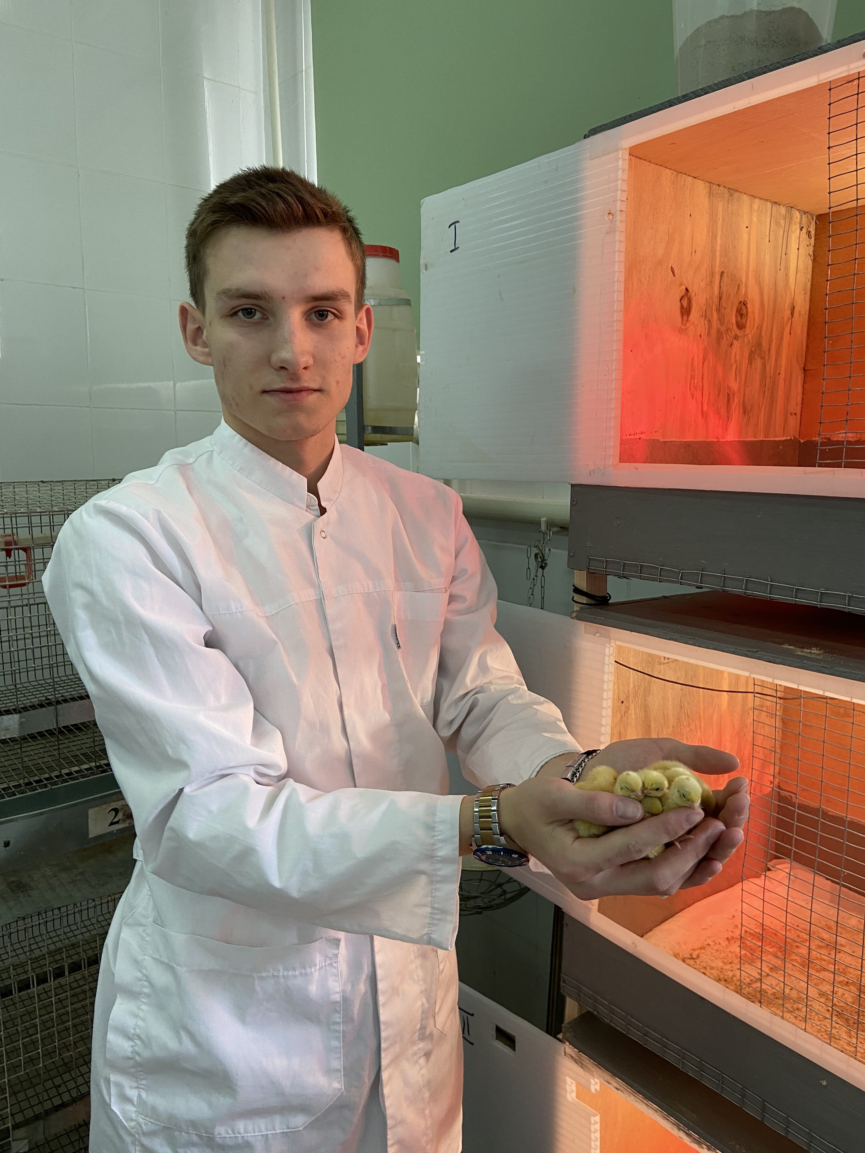 Ученые Ставропольского ГАУ смогли оптимизировать процесс инкубации перепелиных яиц