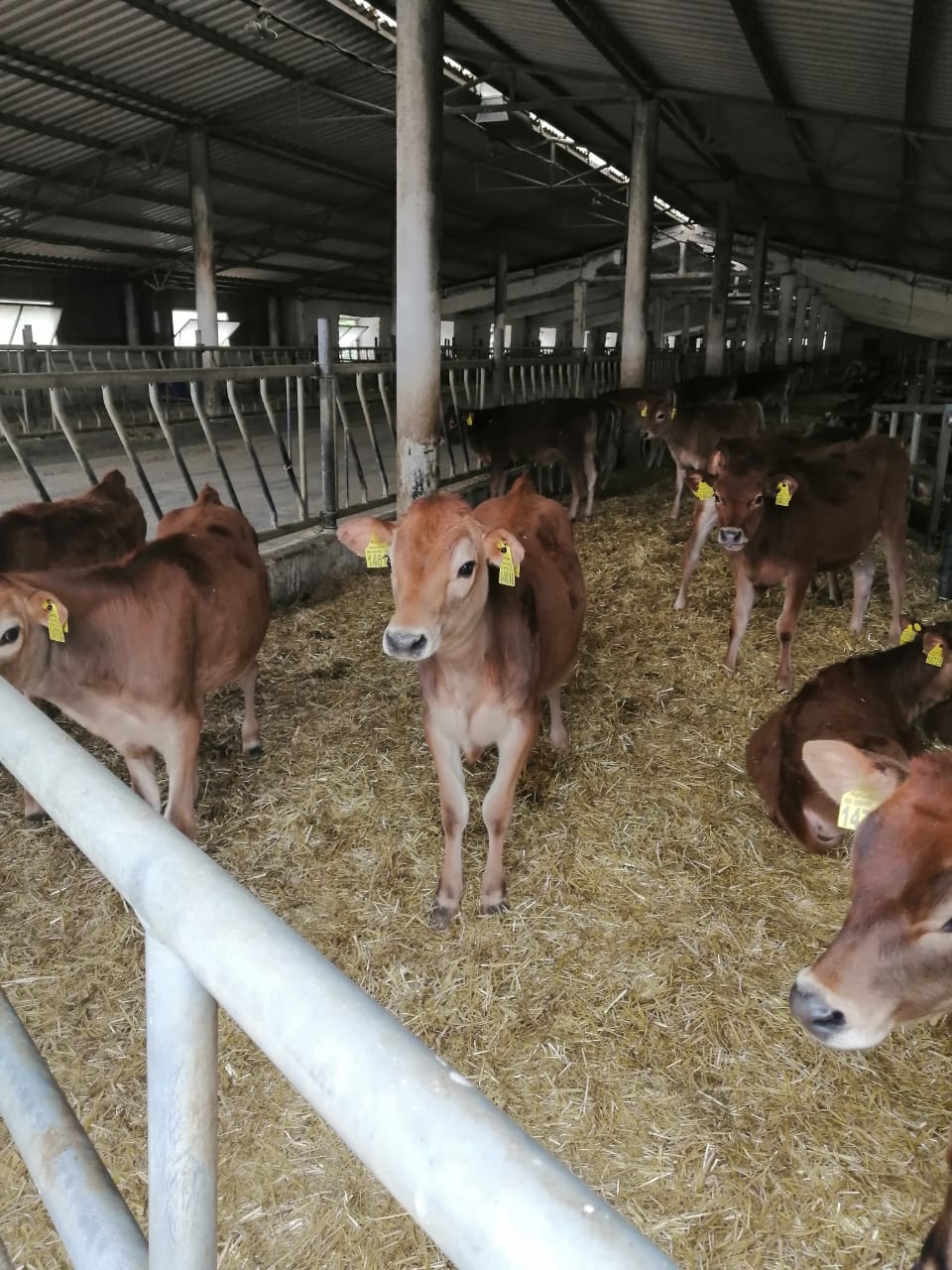 Преподаватели Ставропольского ГАУ обрели новые компетенции в управлении бизнес-процессами