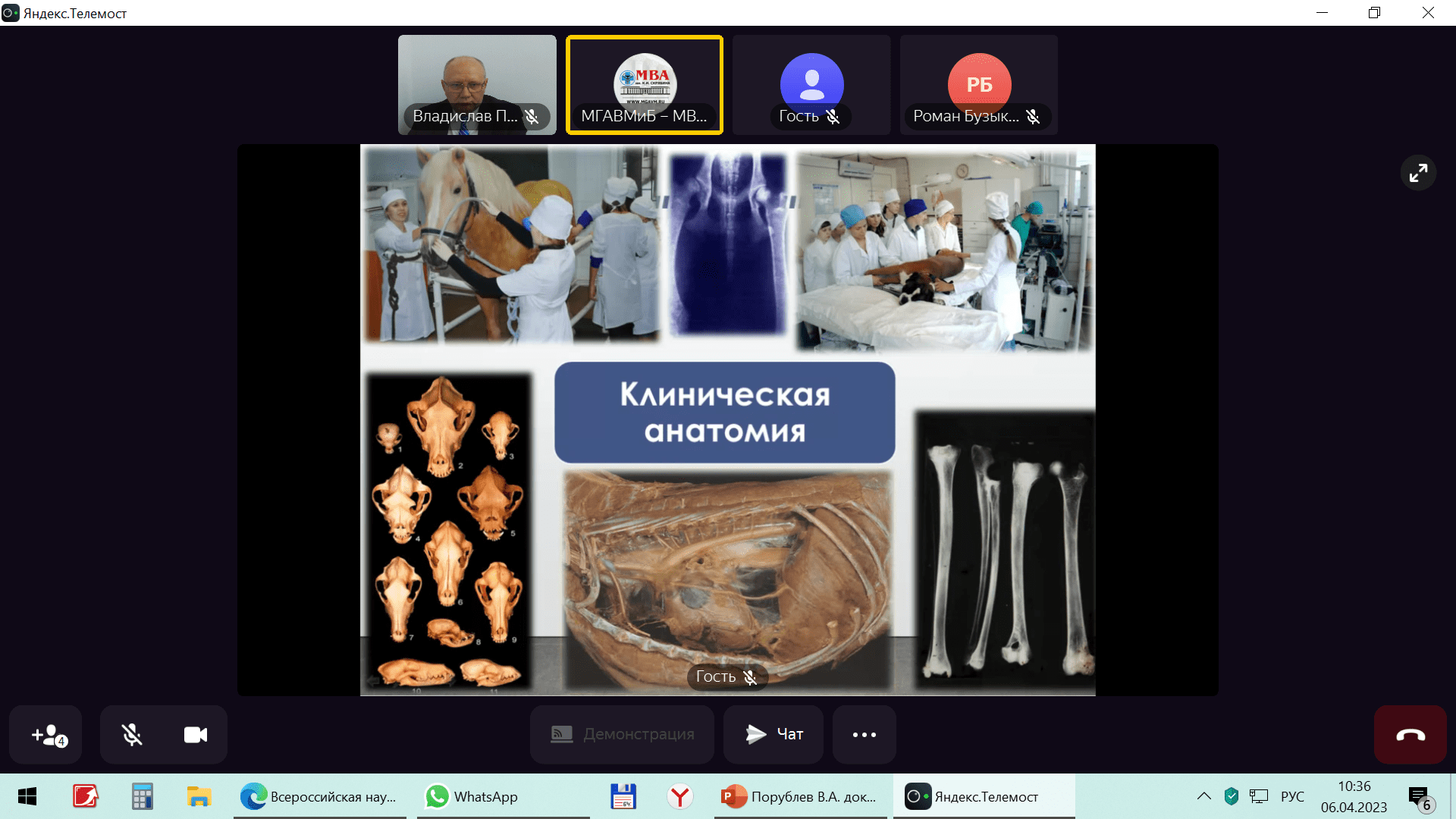 Ученые Ставропольского ГАУ разработали цифровую программу обучения анатомии животных