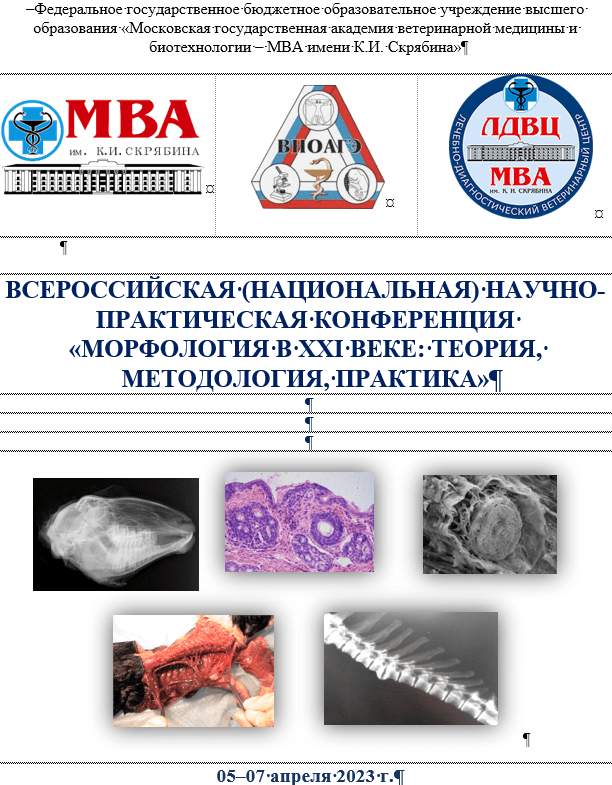 Ученые Ставропольского ГАУ разработали цифровую программу обучения анатомии животных