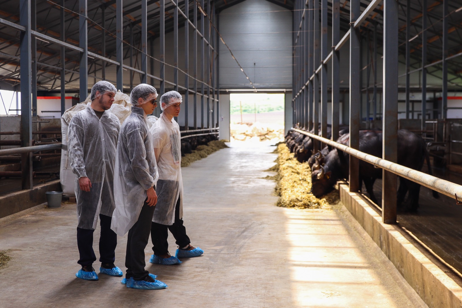 В Ставропольском ГАУ стартовал образовательный модуль по сельскому хозяйству для магистрантов МГИМО МИД России