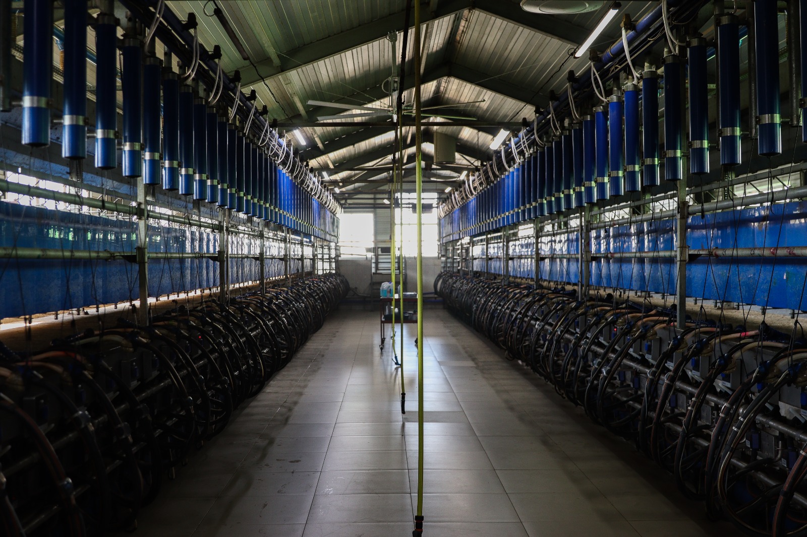 В Ставропольском ГАУ стартовал образовательный модуль по сельскому хозяйству для магистрантов МГИМО МИД России