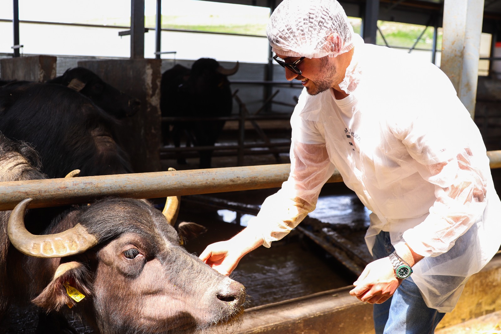 В Ставропольском ГАУ стартовал образовательный модуль по сельскому хозяйству для магистрантов МГИМО МИД России