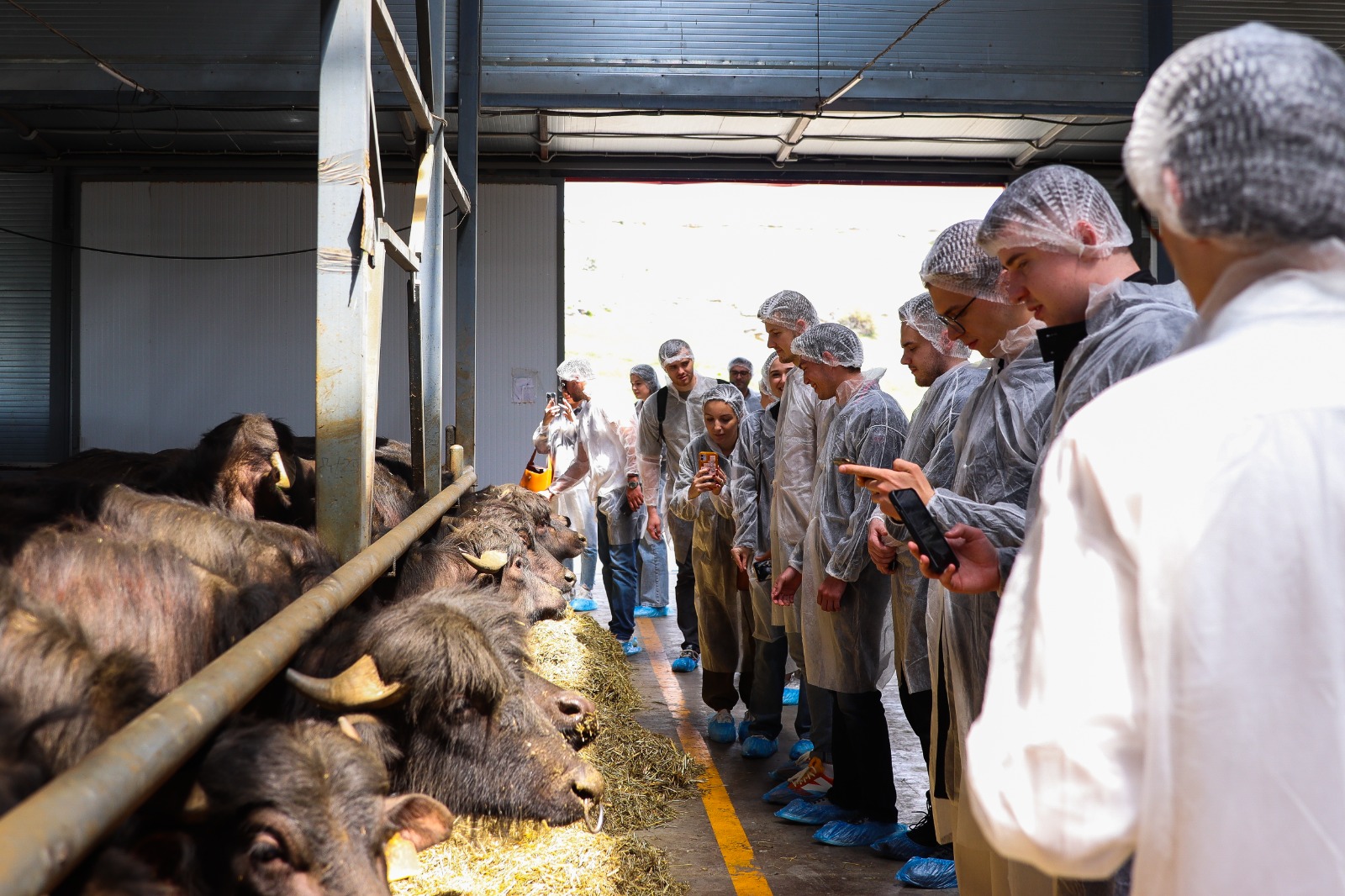 В Ставропольском ГАУ стартовал образовательный модуль по сельскому хозяйству для магистрантов МГИМО МИД России