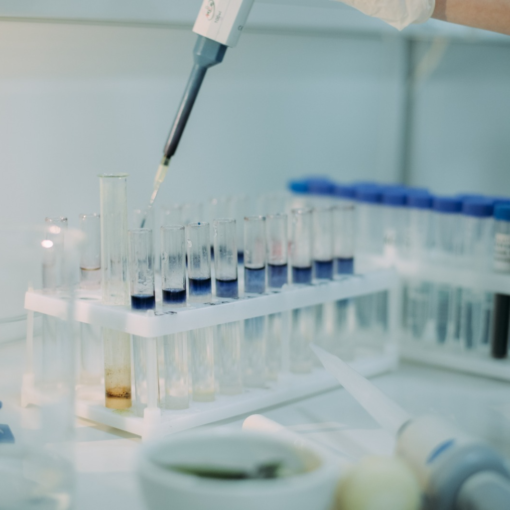 Ученые Ставропольского ГАУ создадут системы ПЦР-тестирования растений