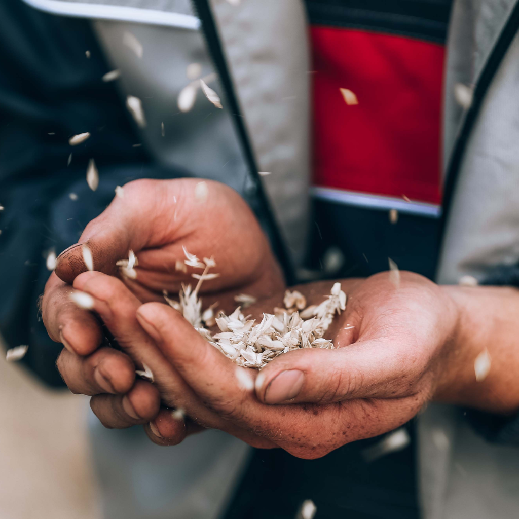 В Ставропольском ГАУ начнут тестировать безопасную альтернативу пестицидам