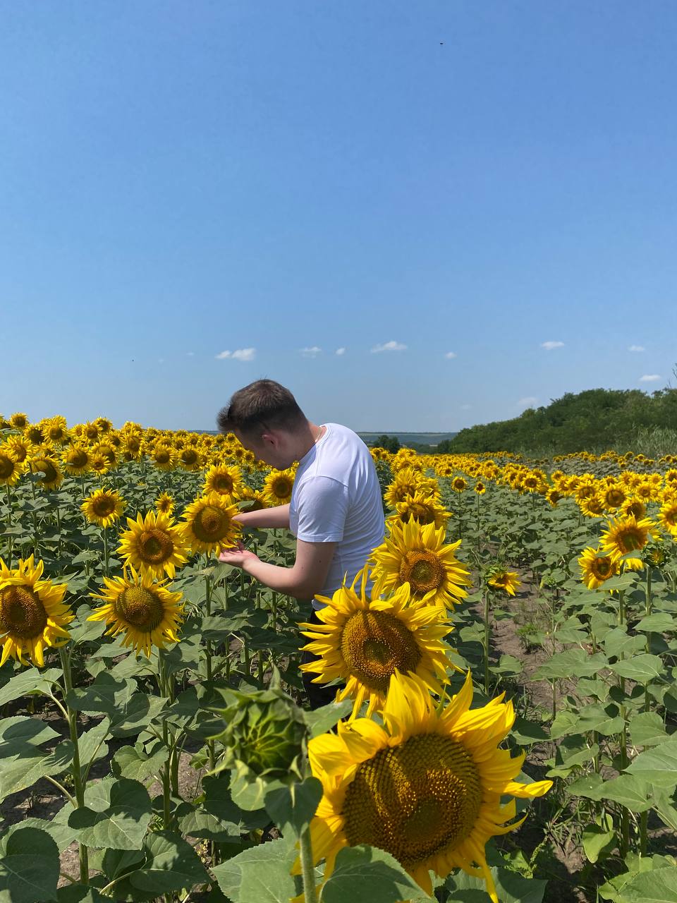 Студент СтГАУ получил навыки по управлению сельскохозяйственным предприятием