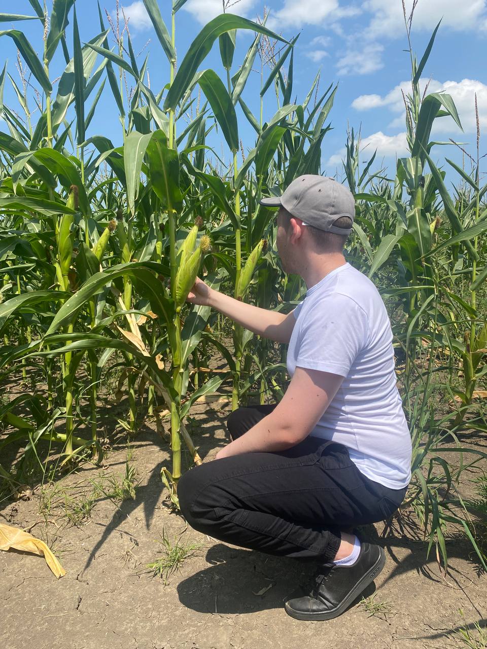 Студент СтГАУ получил навыки по управлению сельскохозяйственным предприятием