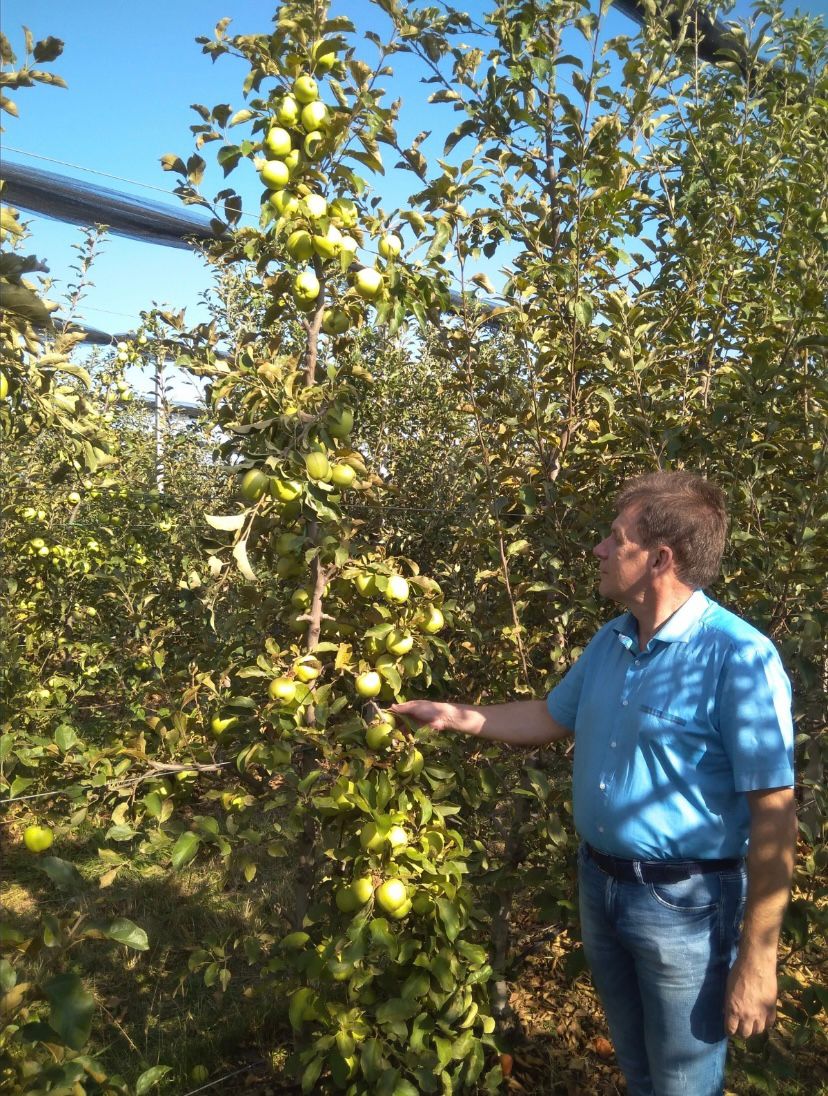 СтГАУ и Северо-Кавказский ФНАЦ начнут совместные исследования по биологизации в садоводстве