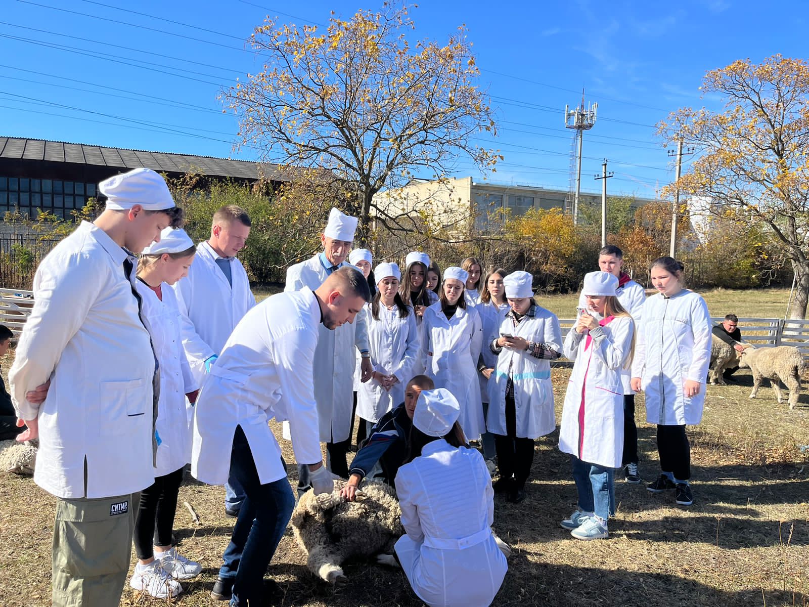 В СтГАУ прошла противопаразитарная обработка животных