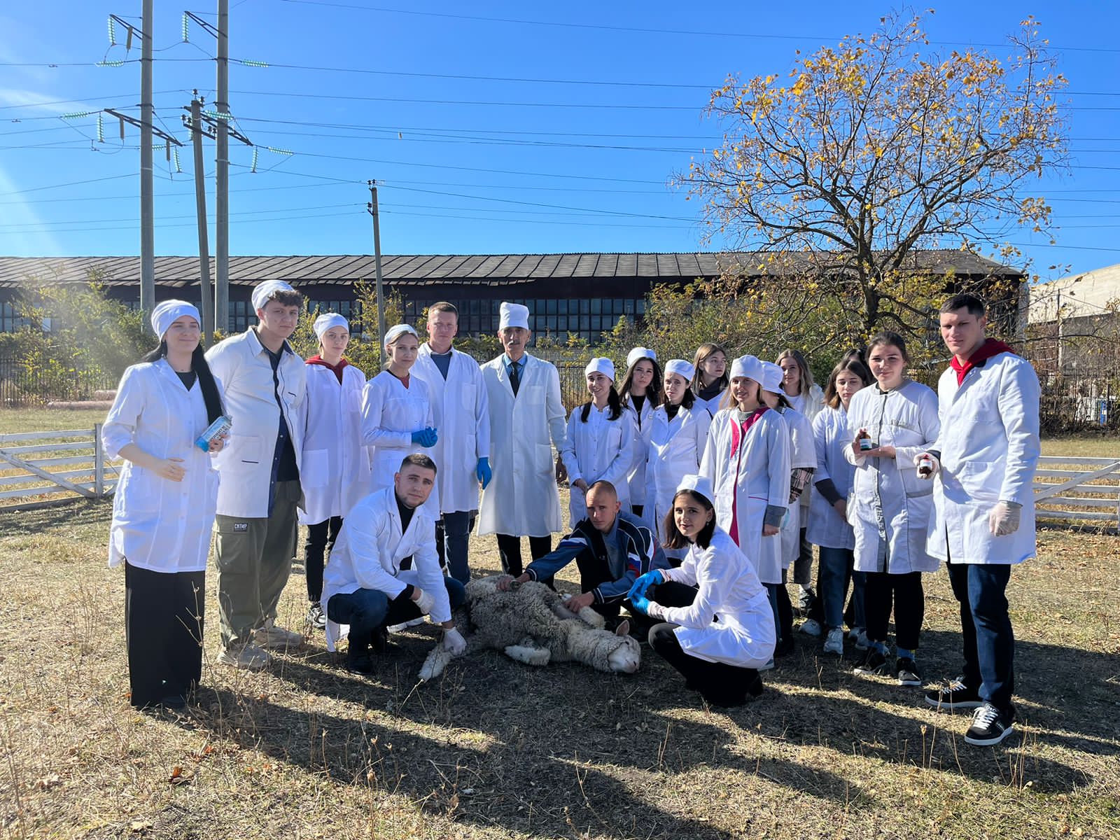 В СтГАУ прошла противопаразитарная обработка животных