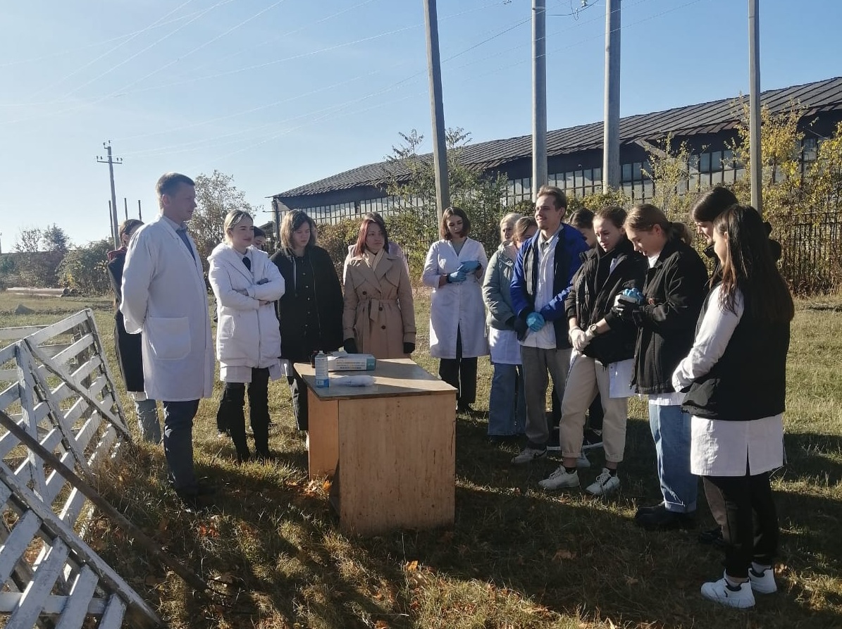 В СтГАУ прошла противопаразитарная обработка животных