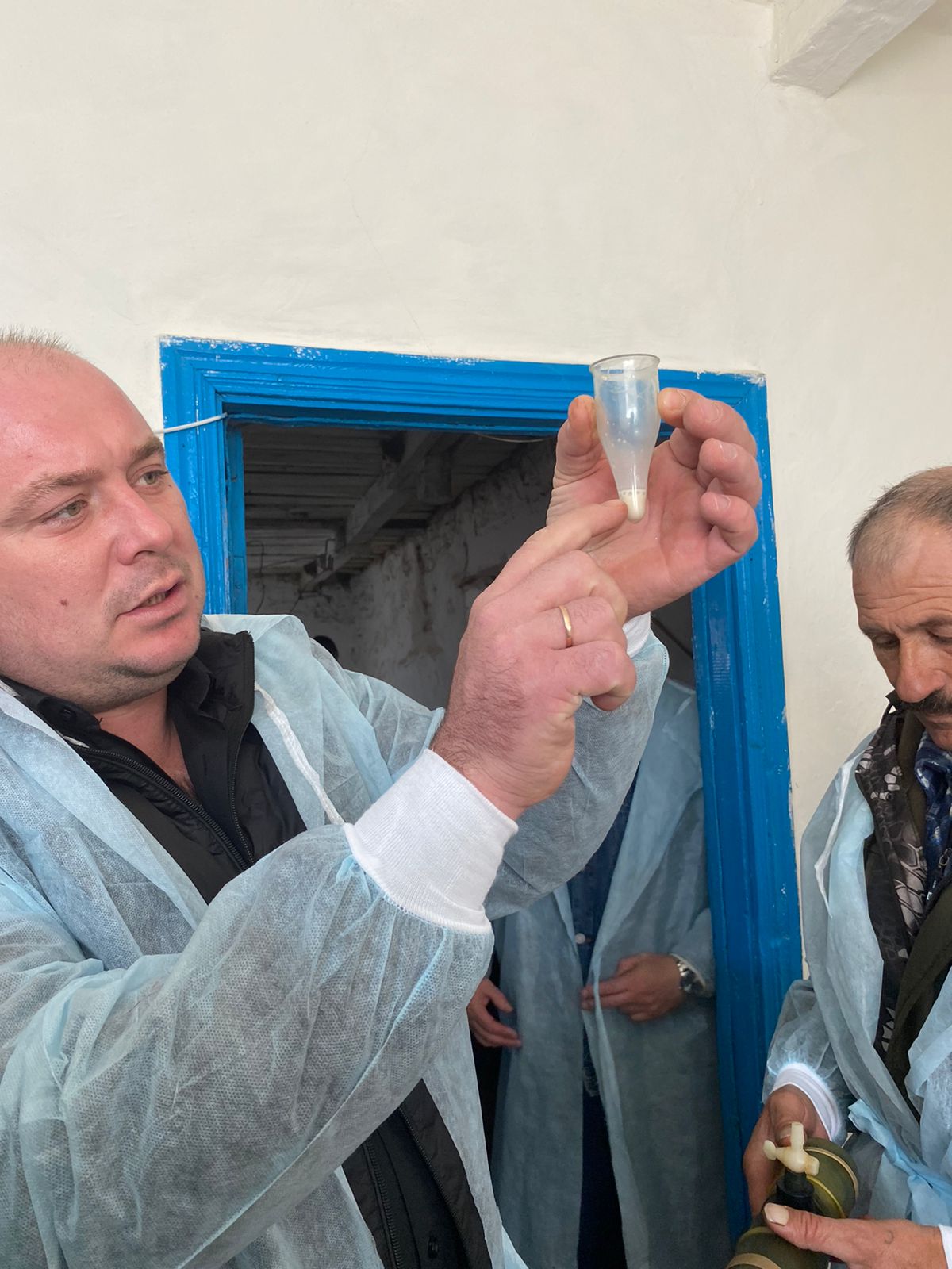 Студенты СтГАУ освоили технологию искусственного оплодотворения овец