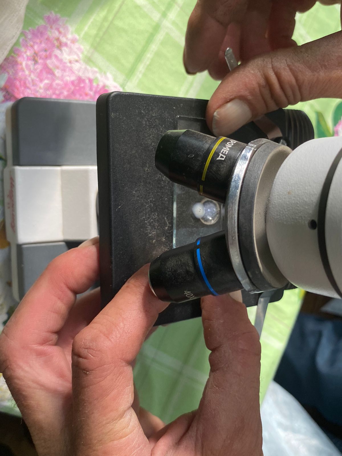 Студенты СтГАУ освоили технологию искусственного оплодотворения овец