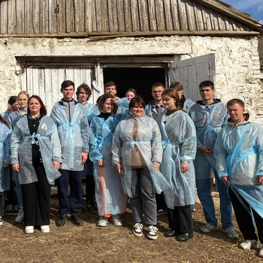 Студенты СтГАУ освоили технологию искусственного оплодотворения овец