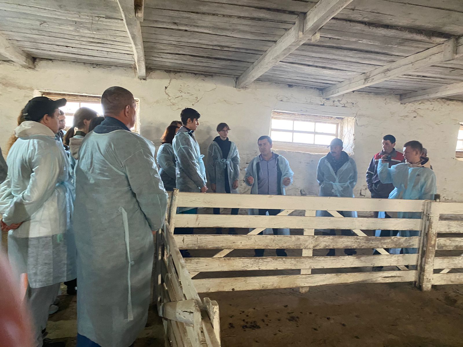 Студенты СтГАУ освоили технологию искусственного оплодотворения овец