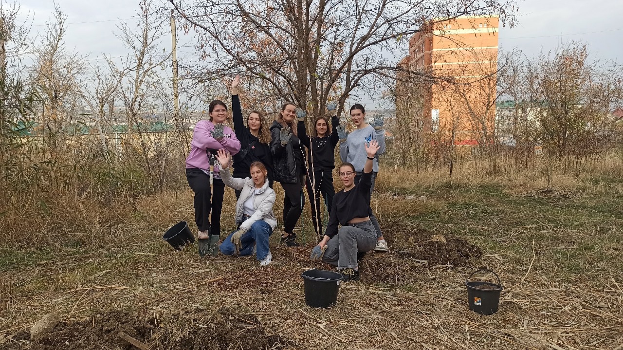 Студенты СтГАУ высадили деревья в урочище «Мутнянка»