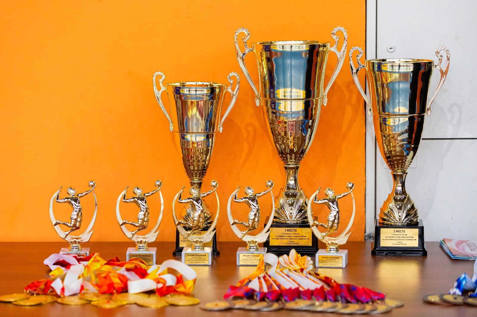 Волейболисты СтГАУ стали призерами Кубка Министра сельского хозяйства