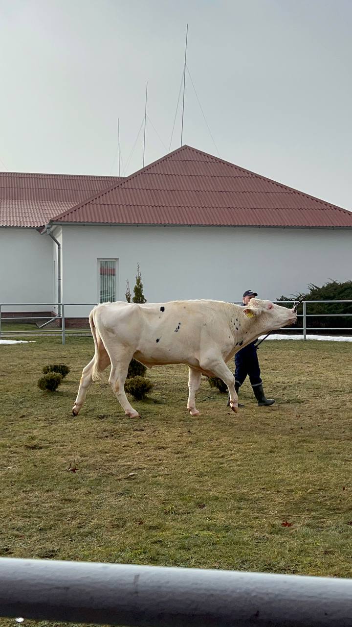 Владимир Ситников посетил племенное хозяйство в Минске
