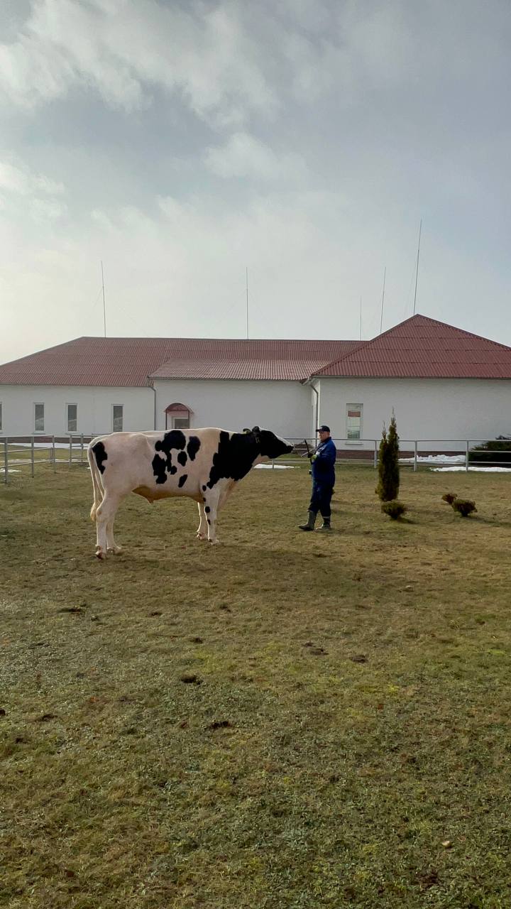 Владимир Ситников посетил племенное хозяйство в Минске