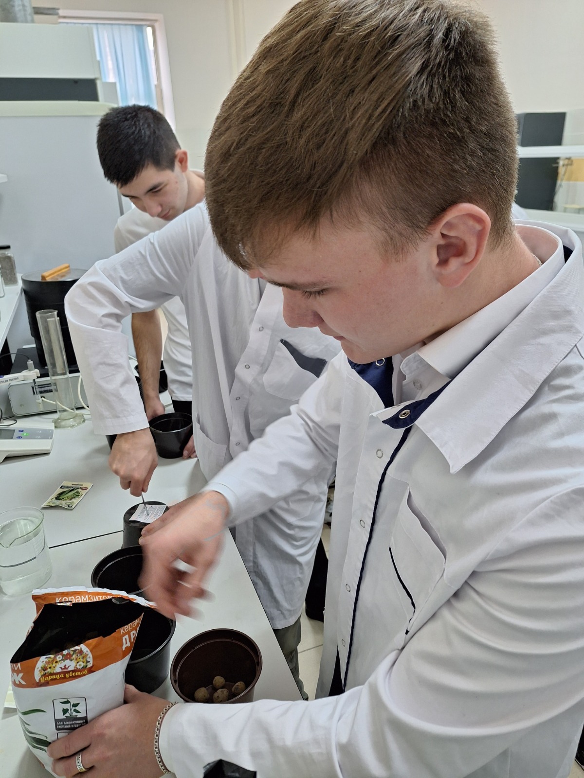 В СтГАУ прошел мастер-класс по посадке семян овощных и декоративных культур