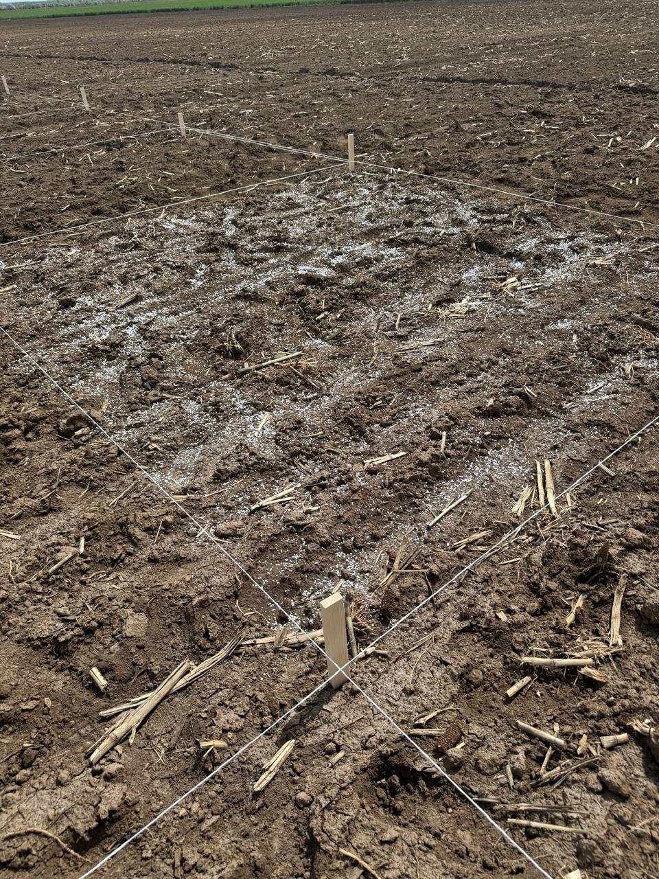 Ученые СтГАУ начали исследование влияния фосфогипса на почву