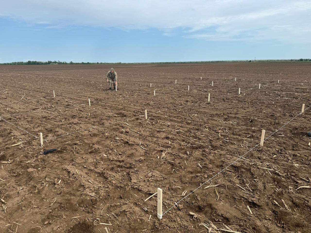 Ученые СтГАУ начали исследование влияния фосфогипса на почву