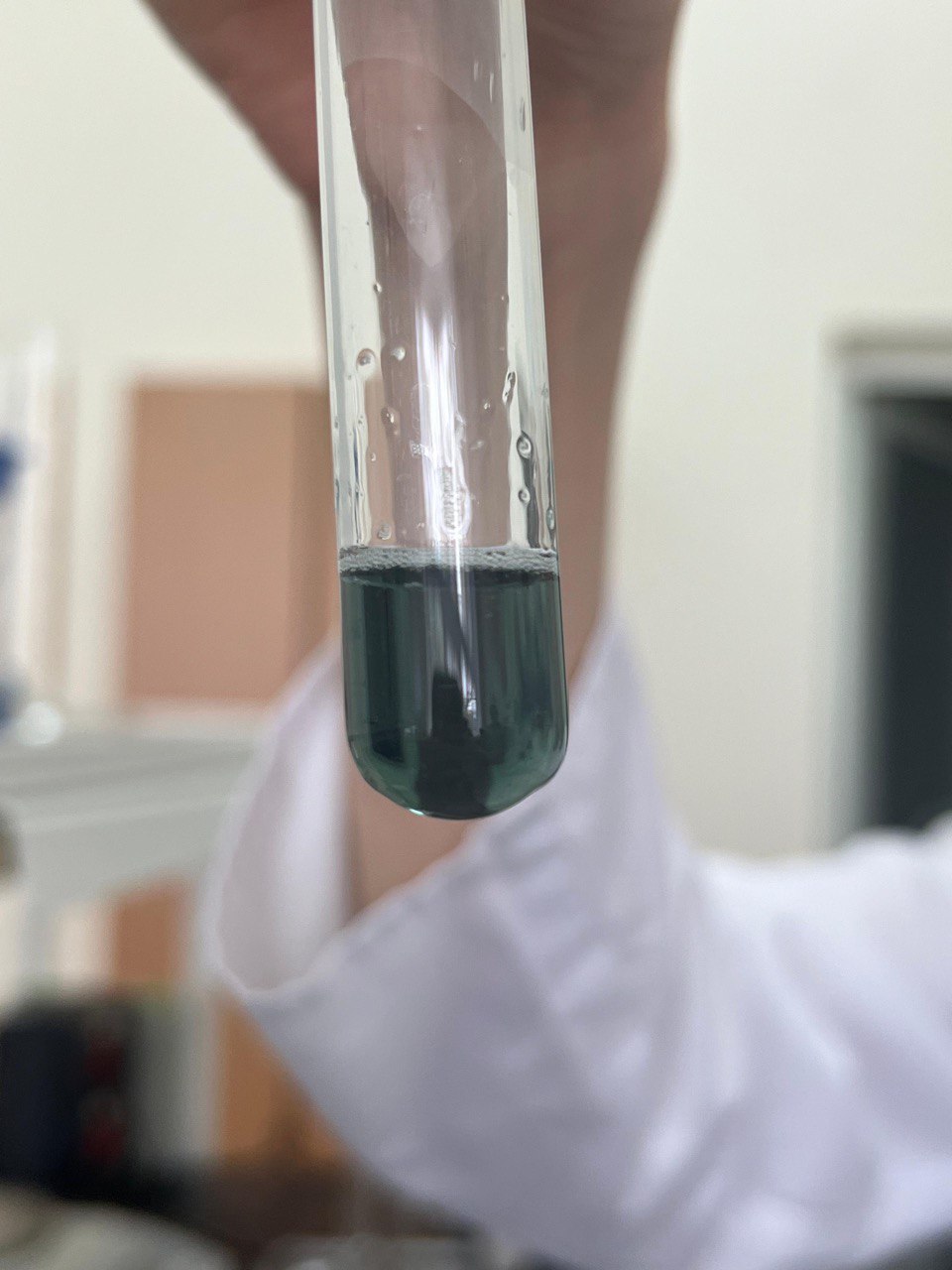 В СтГАУ прошло лабораторное занятие по распознаванию мяса больных и здоровых животных