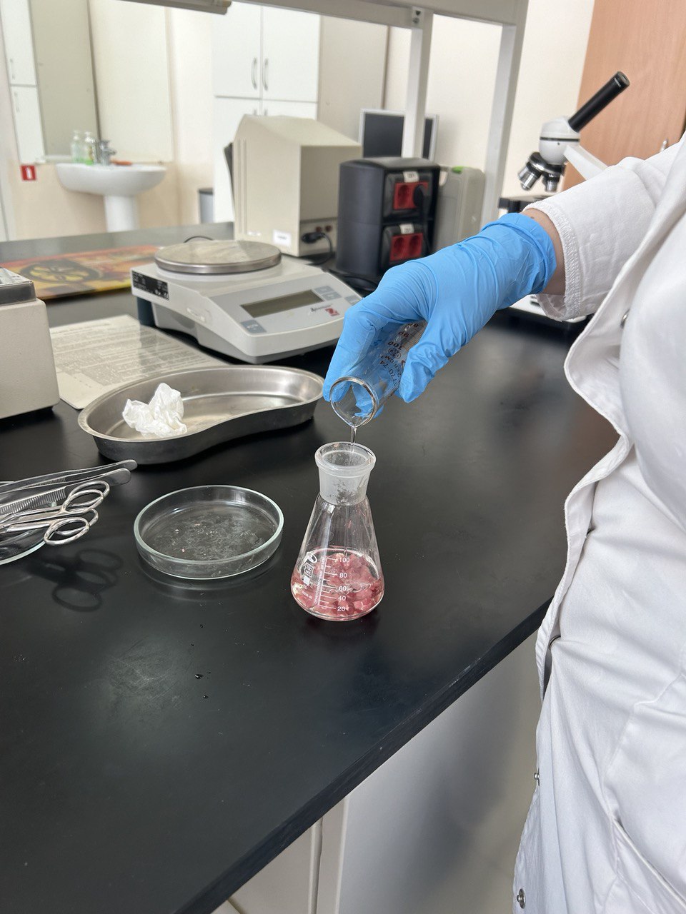 В СтГАУ прошло лабораторное занятие по распознаванию мяса больных и здоровых животных