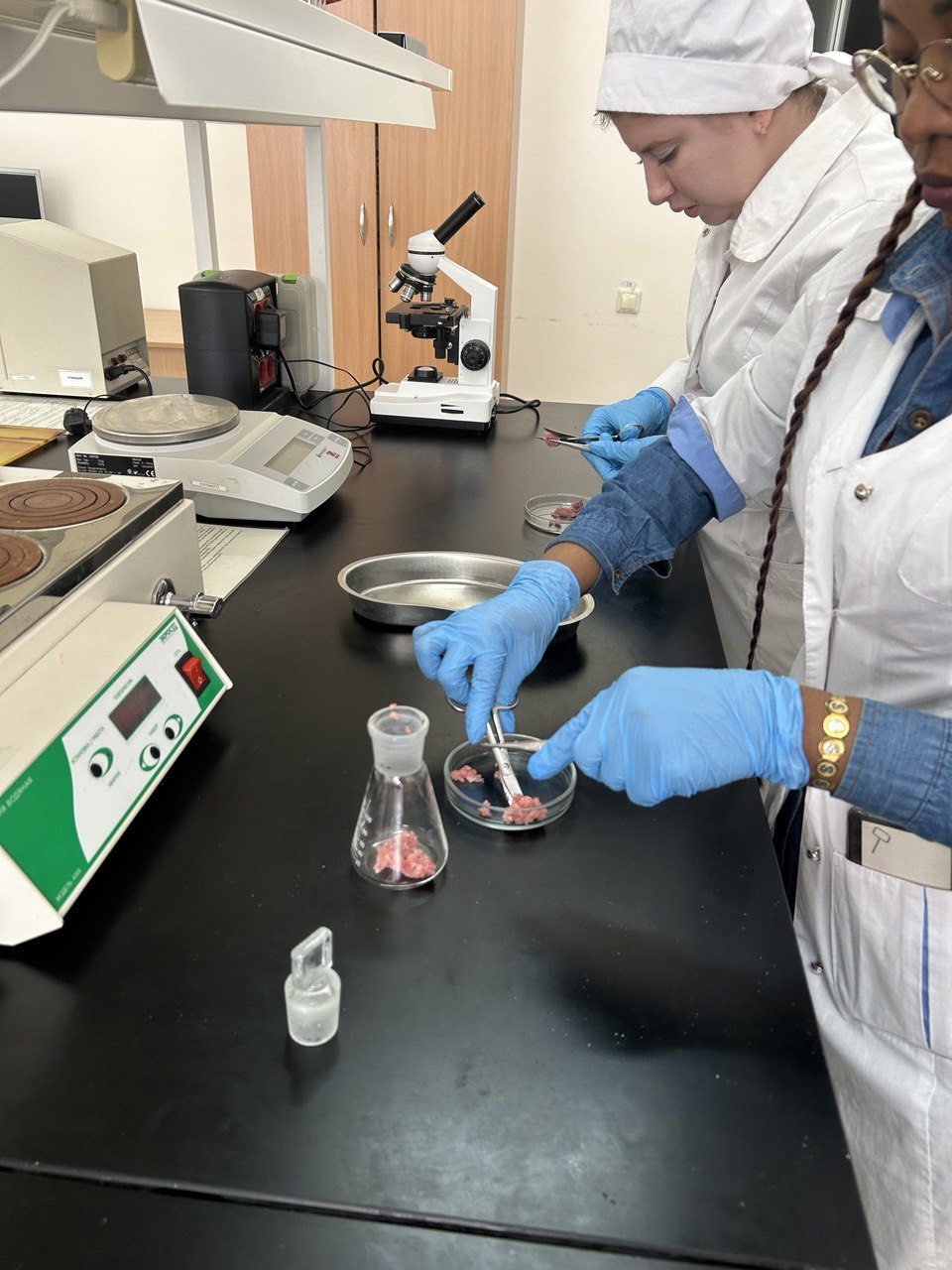 В СтГАУ прошло лабораторное занятие по распознаванию мяса больных и здоровых животных