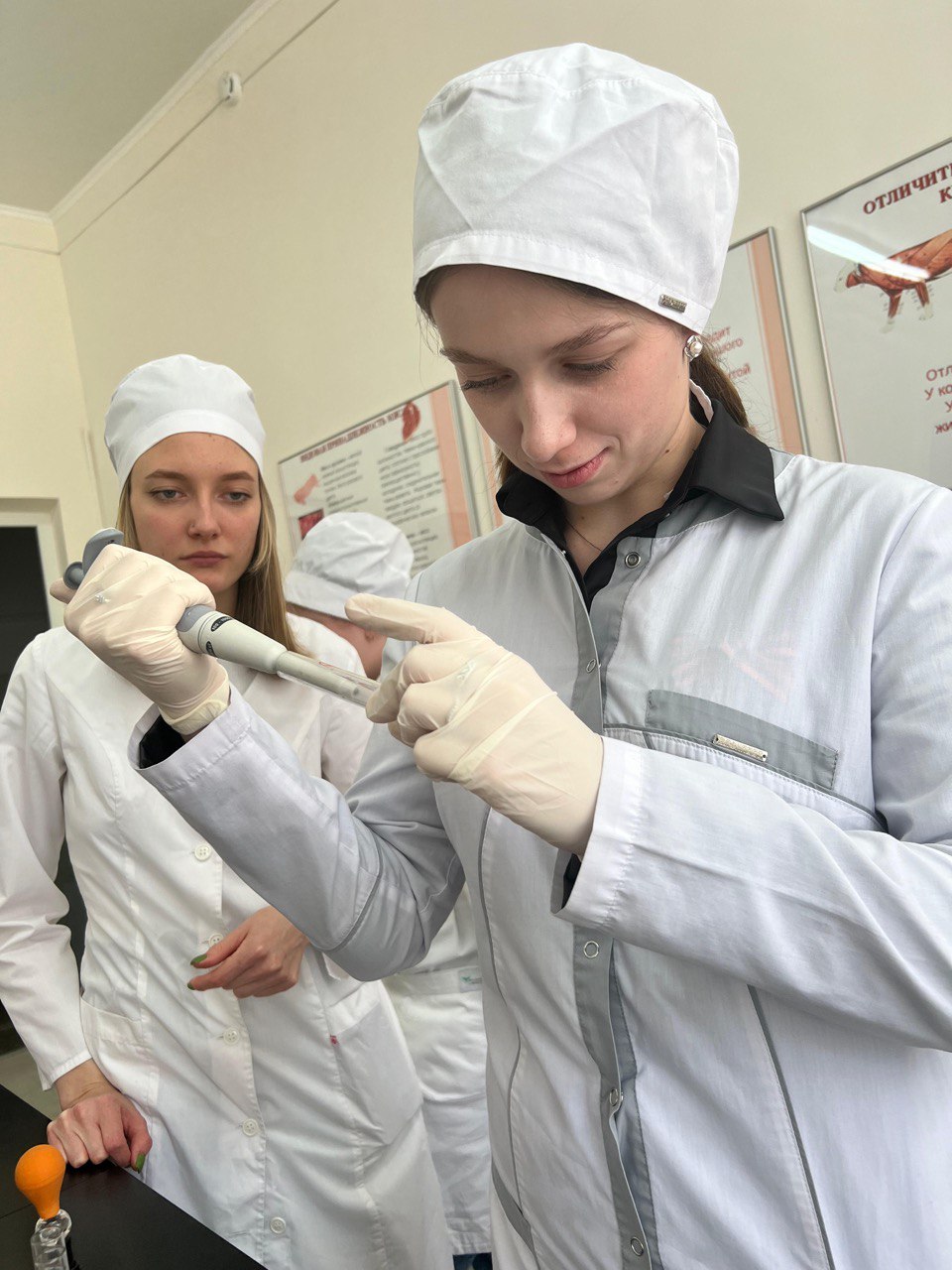 В СтГАУ прошло лабораторное занятие по распознаванию мяса больных и здоровых животных