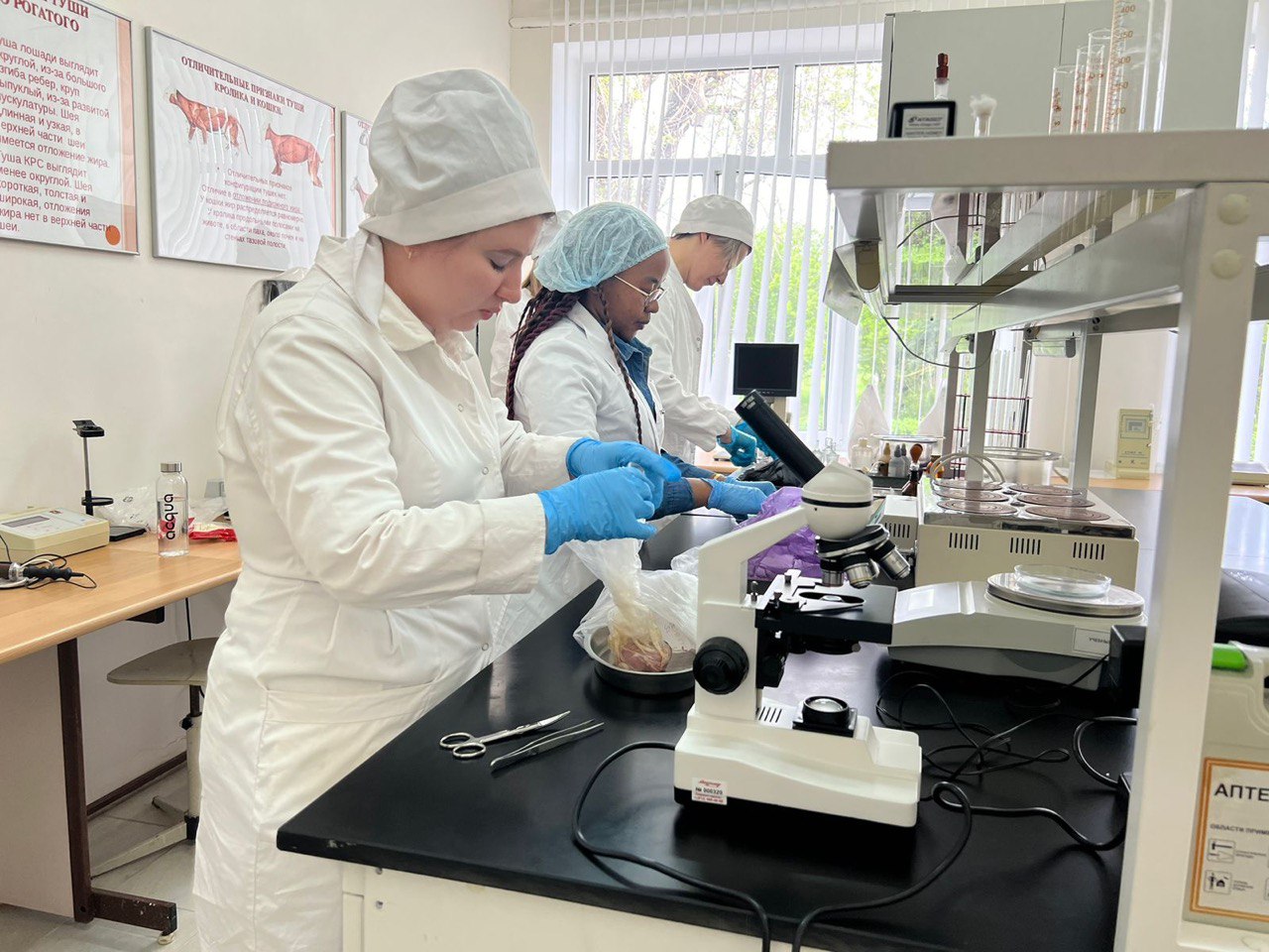 В СтГАУ прошло лабораторное занятие по распознаванию мяса больных и здоровых животных