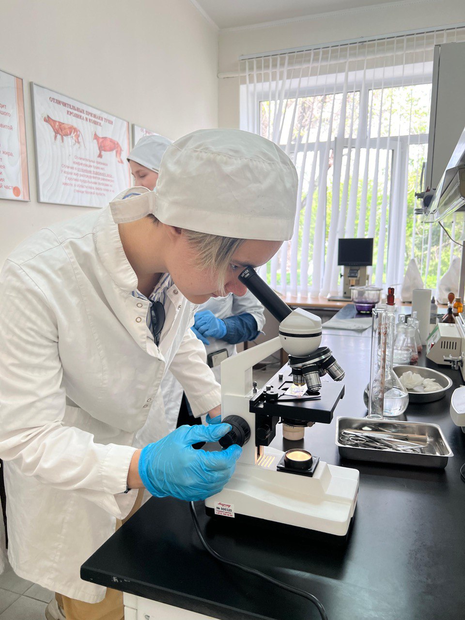 В СтГАУ прошло лабораторное занятие по распознаванию мяса больных и здоровых животных