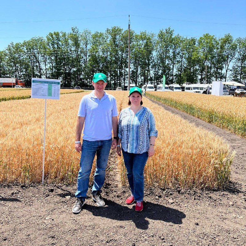 Ученые СтГАУ посетили международный «День поля»