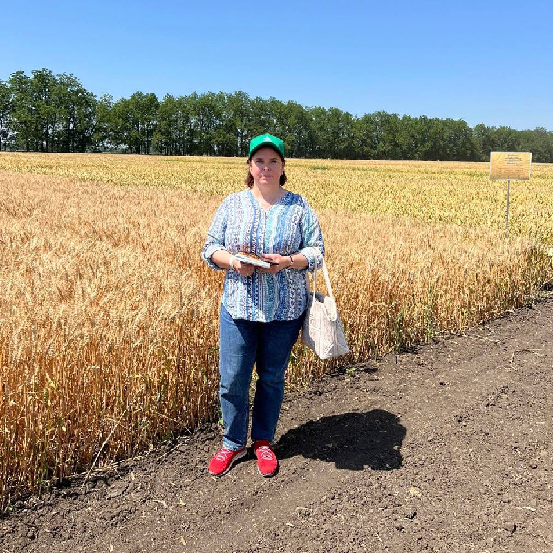 Ученые СтГАУ посетили международный «День поля»