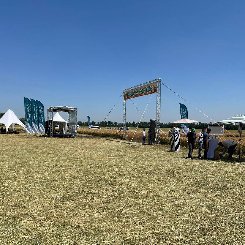 Ученые СтГАУ посетили международный «День поля»