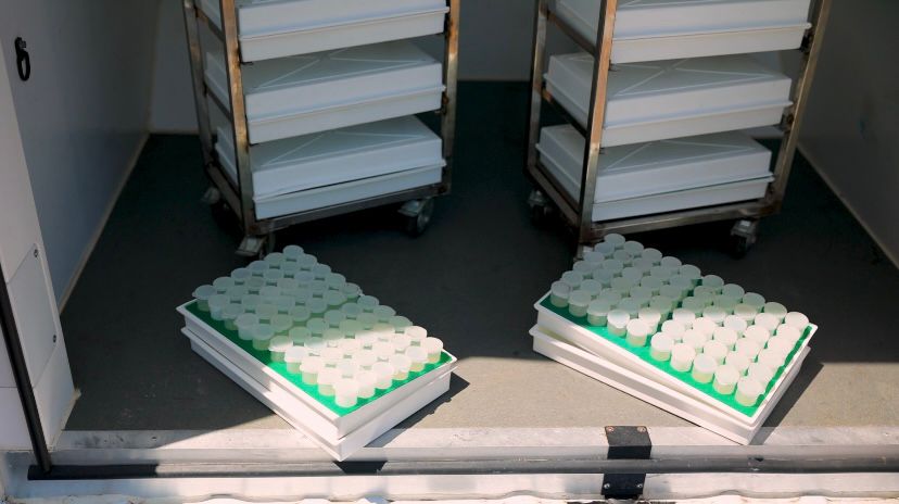 Владимир Ситников рассказал о наработках СтГАУ в области геномной селекции в Минсельхозе РФ