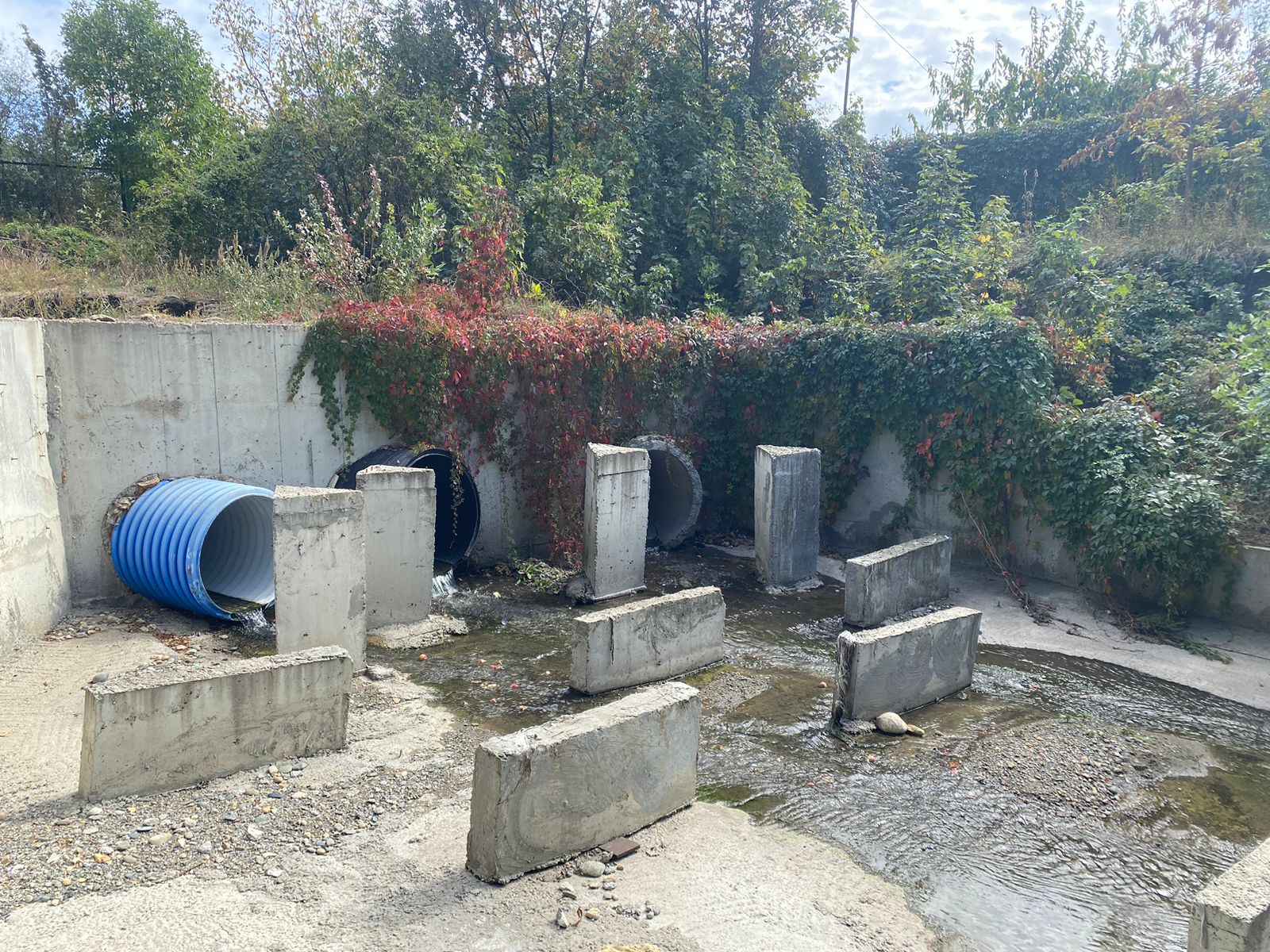 Студенты СтГАУ провели анализ сточных вод в Ставрополе