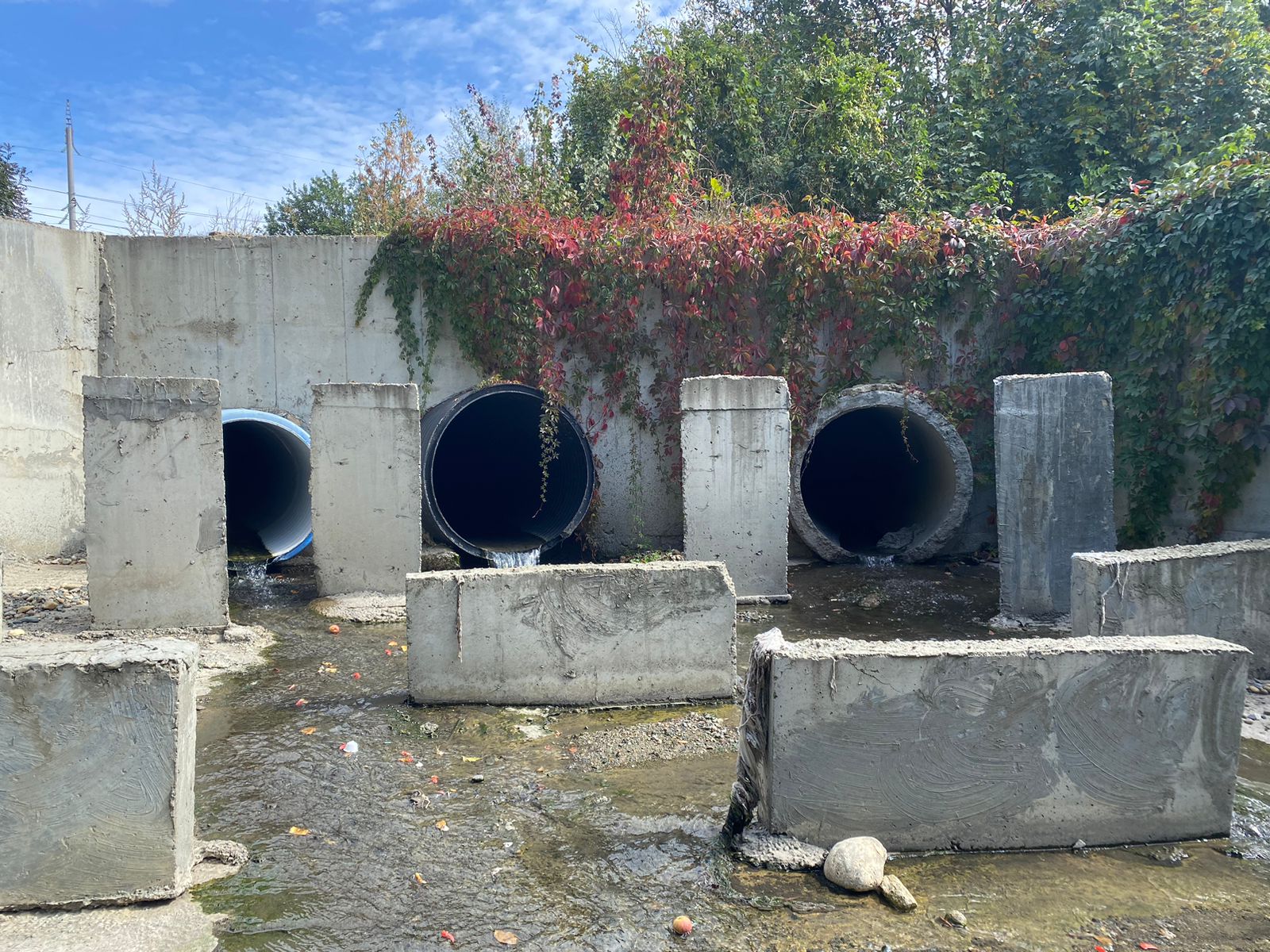 Студенты СтГАУ провели анализ сточных вод в Ставрополе