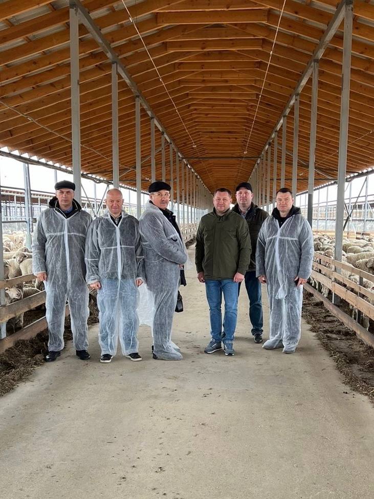 Ученые СтГАУ разработают проект развития мясного овцеводства с компанией ГАП «Ресурс»