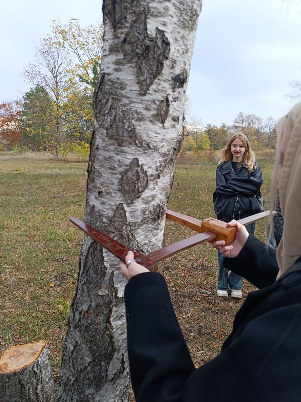 StGAU students conducted a study of Stavropol forests