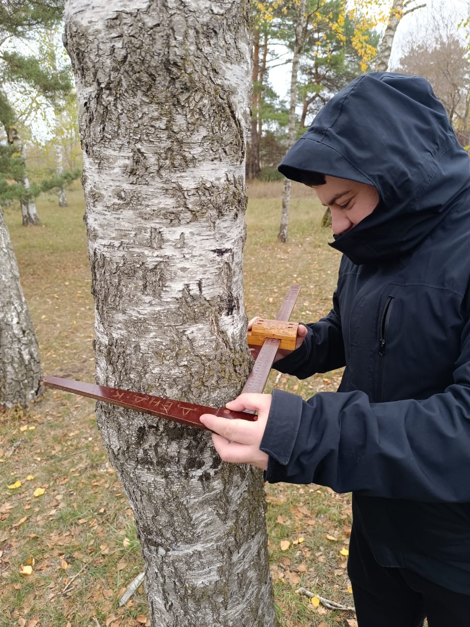 StGAU students conducted a study of Stavropol forests