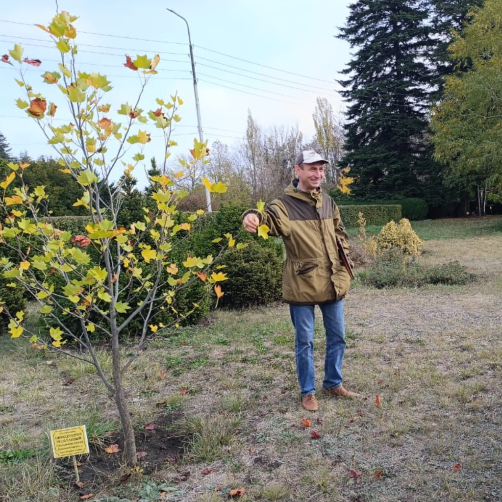StGAU students conducted a study of Stavropol forests
