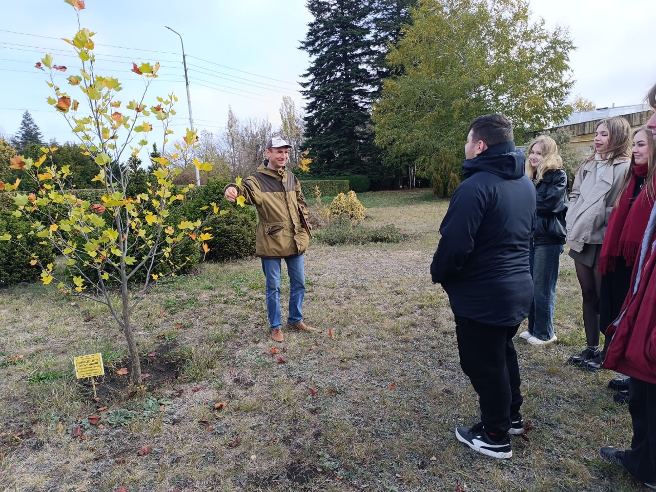 StGAU students conducted a study of Stavropol forests