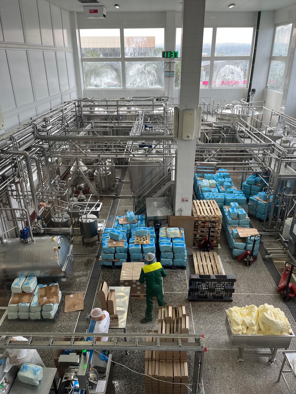 Студенты СтГАУ изучили технологии переработки молока