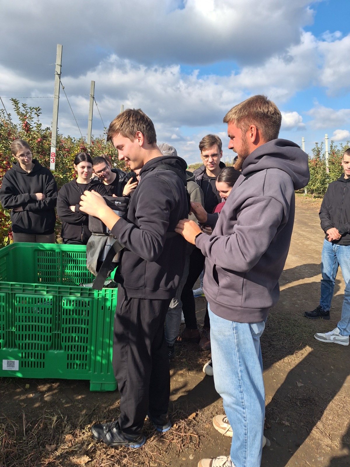 Студенты СтГАУ научились сбору урожая с плодовых деревьев