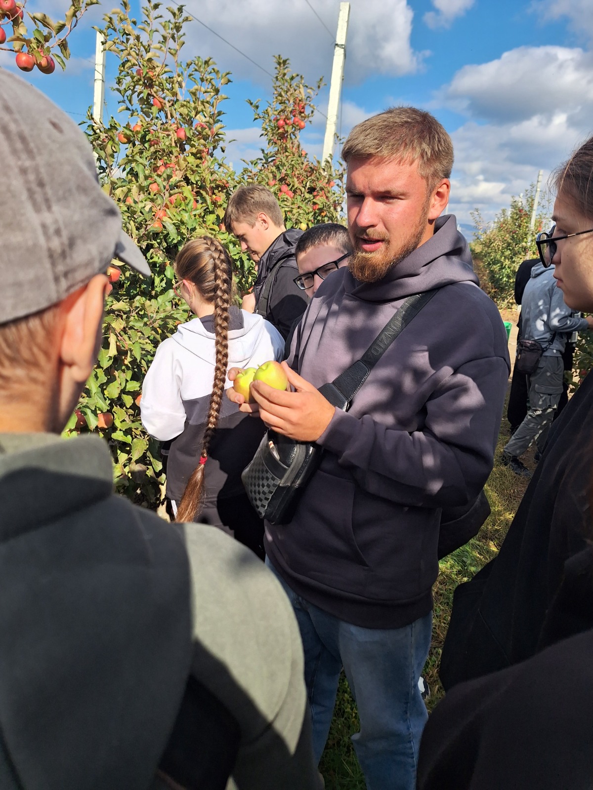 Студенты СтГАУ научились сбору урожая с плодовых деревьев