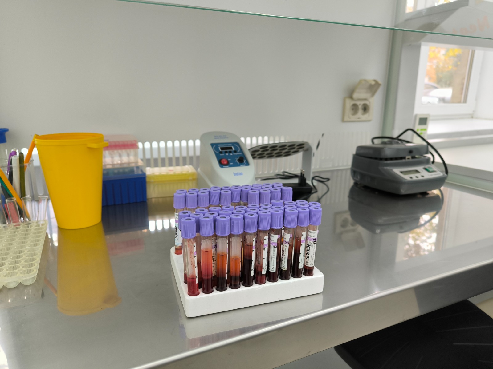 Студенты СтГАУ освоили генетические технологии в животноводстве