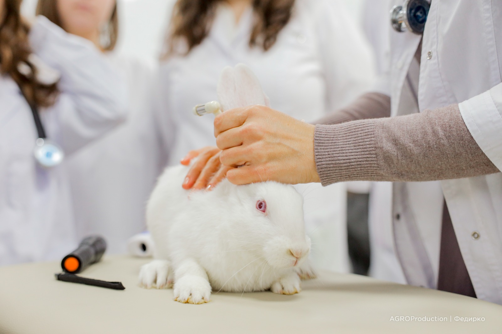 StGAU students study bird anatomy with experts from GAP Resource